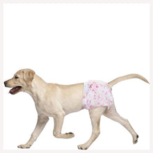 use and throw dog diapers for female dog