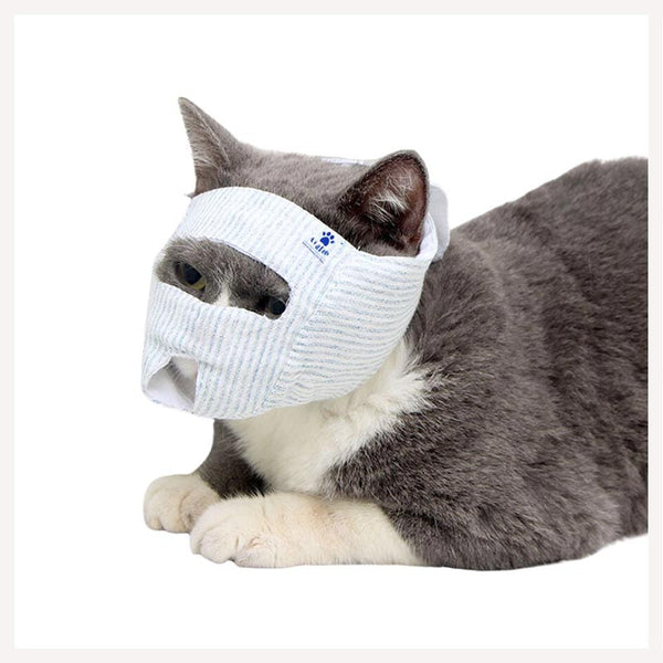 Training & Supplies (Cat)