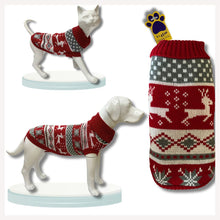 sweater for dog in maroon colour