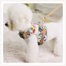 A+A Pets' Retro Vest Harness and Leash Set For Dogs & Cats
