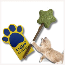 A+a Pets' Goodie Box of (4) for Cats and Dogs: Fur Bed, Wand Toy, Catnip Chew Mint Toy, and Litter Scooper