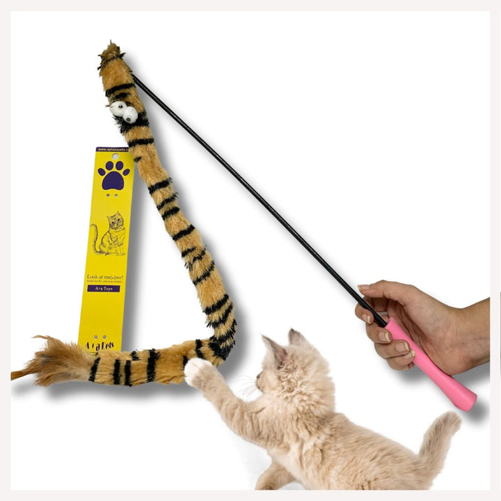 cat toys