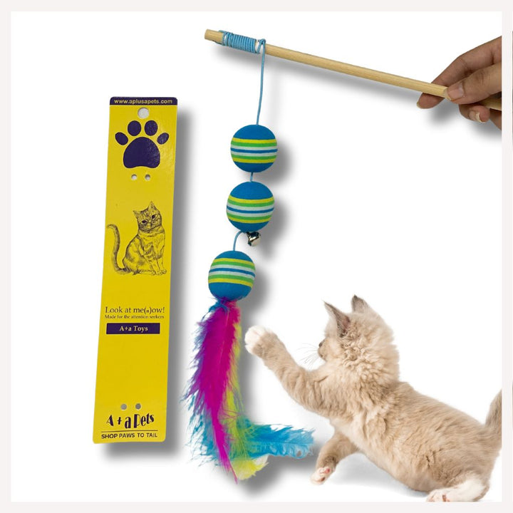 cat toys