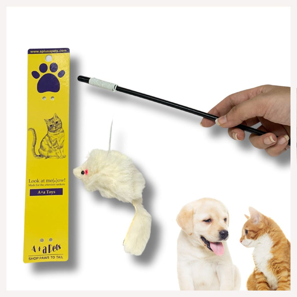 cat toys