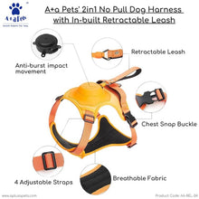 harness dog belt