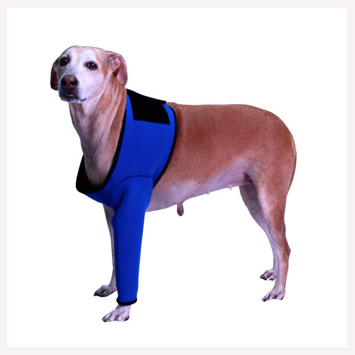 A+a Pets' Dog Recovery Sleeves for Front Legs - www.aplusapets.com
