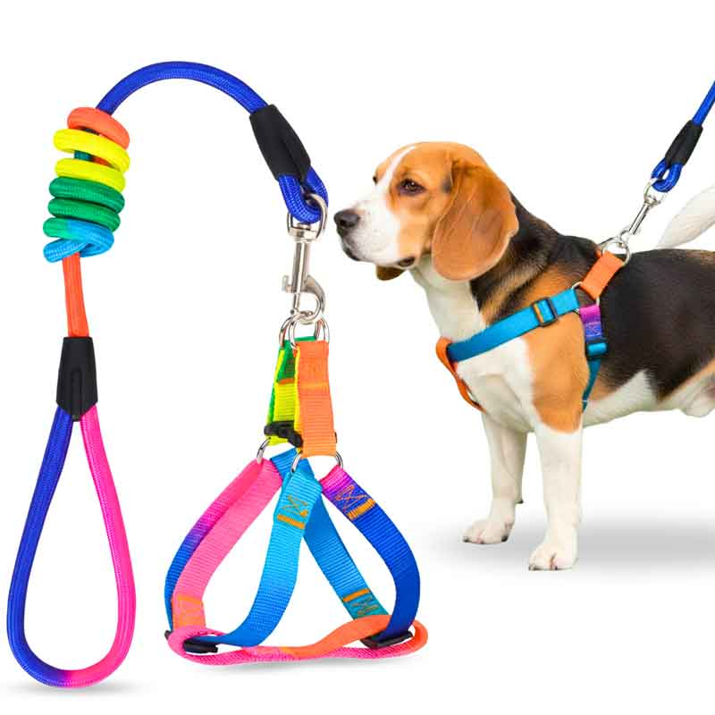 A+a Pets' Step-in Harness & Leash Set for Dogs Rainbow Colours - www.aplusapets.com