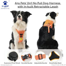 Retractable Leash Dog Harness Walk with Ease and Control