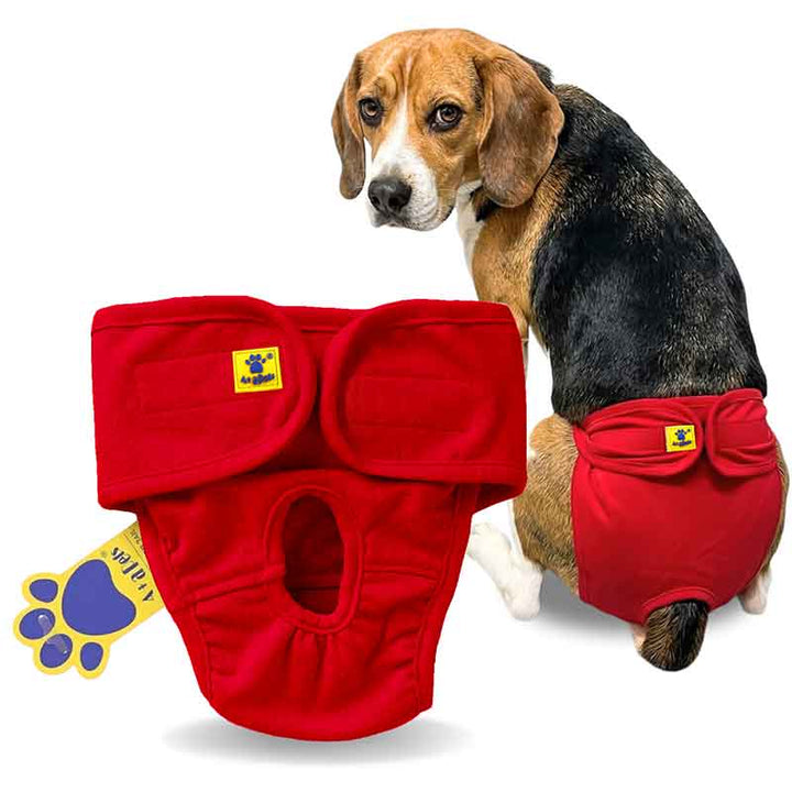 Dog wearing a red diaper with a paw print label on a white background
