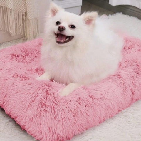 Bedding & Mats