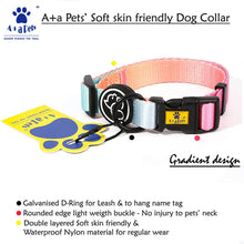 A+a Pets' Gradient Design Collar For Dogs & Cats- Pink