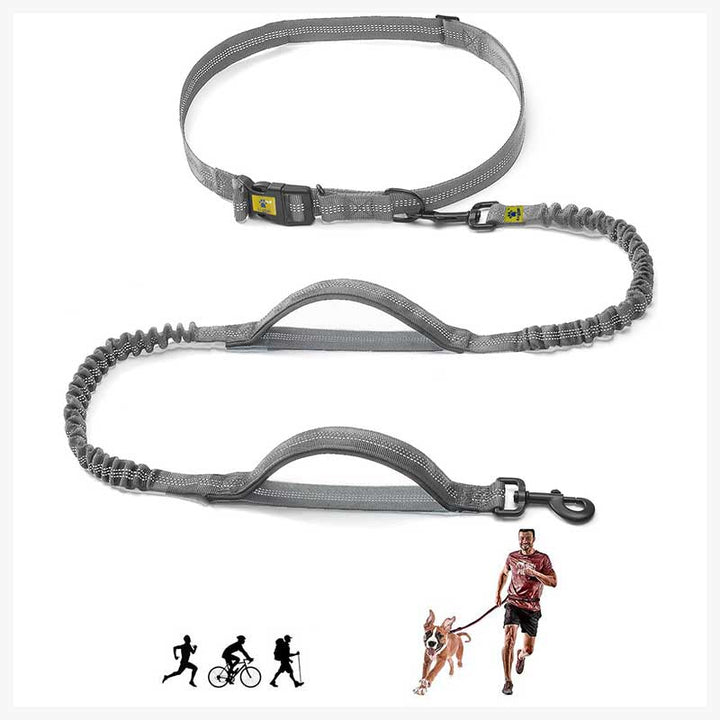 A+a Pets’ 2in1 Bungee Hands-Free Leash - www.aplusapets.com