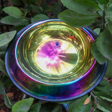 A+a Pets' Rainbow Colour Stainless Steel Feeding Bowl (900ml)