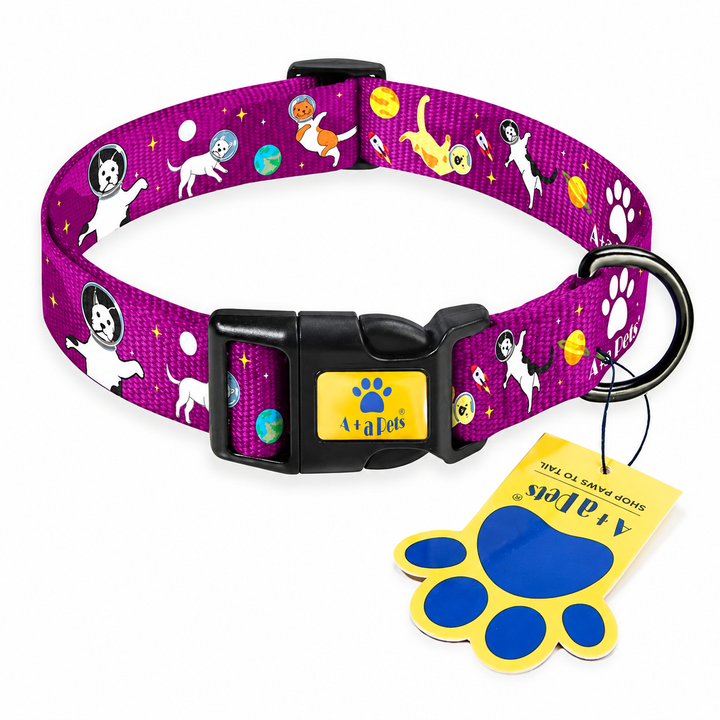 Animal Galaxy collar centered on white background