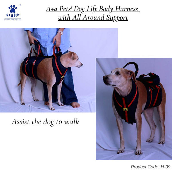 A+a Pets' Full Body Support Harness for Dogs with Lift Sling Belt