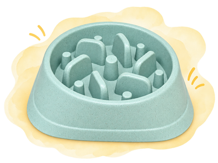 Bowls & Feeders