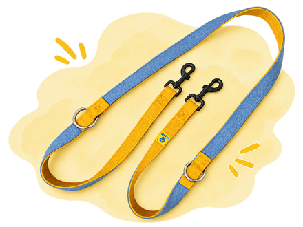 Leashes