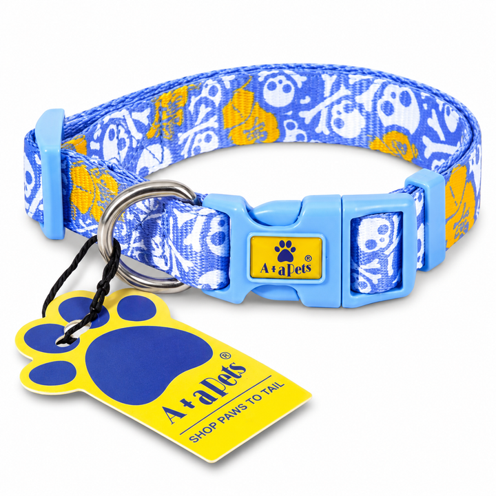 Blue Pirate collar centered on white background