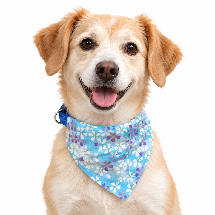 Dog wearing Floral Collection scarf collar, Blue design