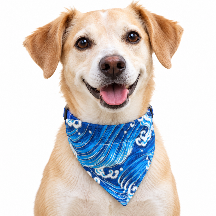 Dog wearing Galaxy Collection scarf collar, Blue design