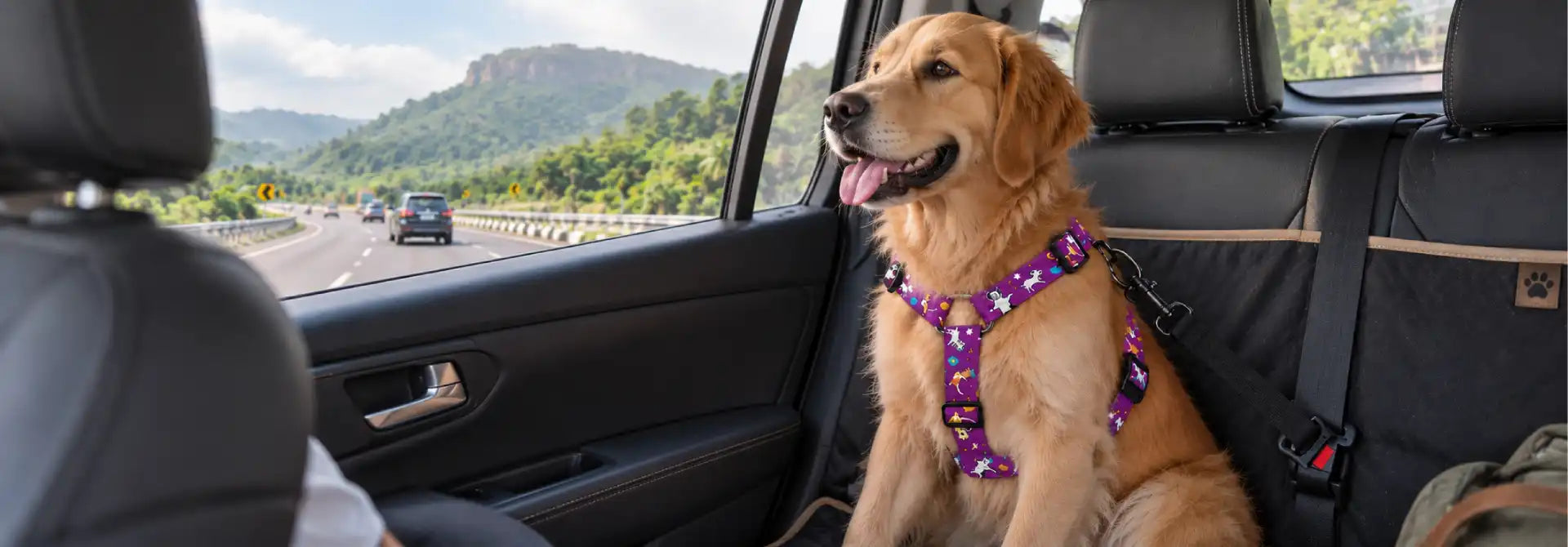 Dog Car Travel Safety in India: Road Trip Guide