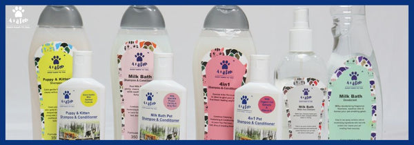 Six checkpoints to select the best shampoo for your pet