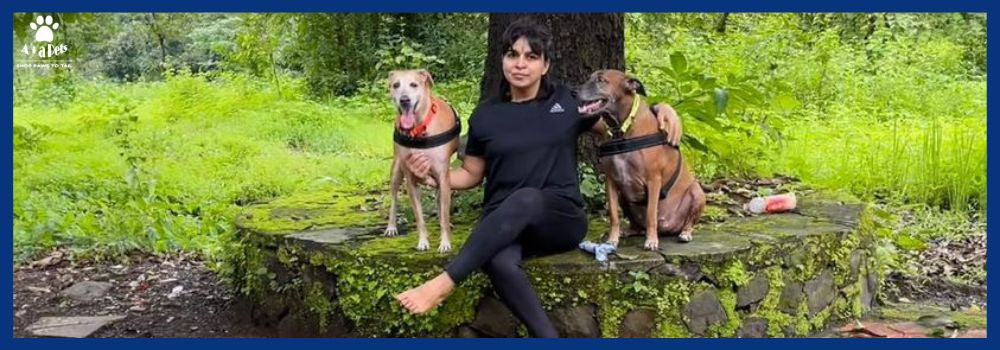 Easy Tips To Make Your Travel With Pets' Comfortable