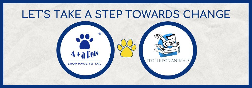 How do You Benefit From Our Collaboration With An NGO?