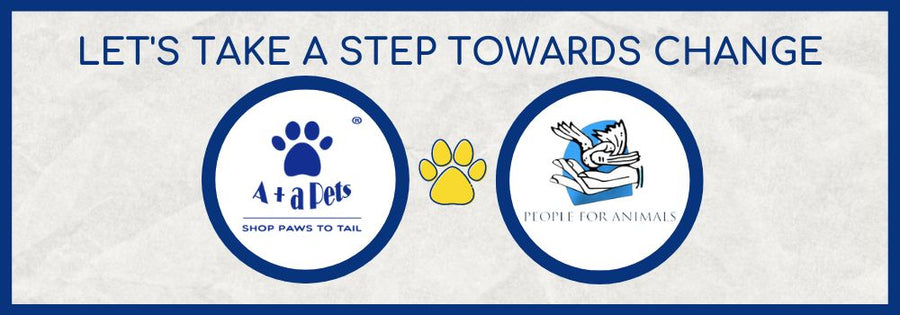 How do You Benefit From Our Collaboration With An NGO?