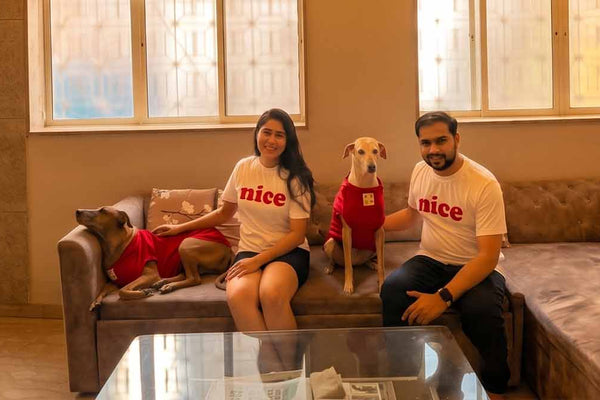 Do Dogs Need Clothes in Summer? Why Breathable Cotton is a Lifesaver
