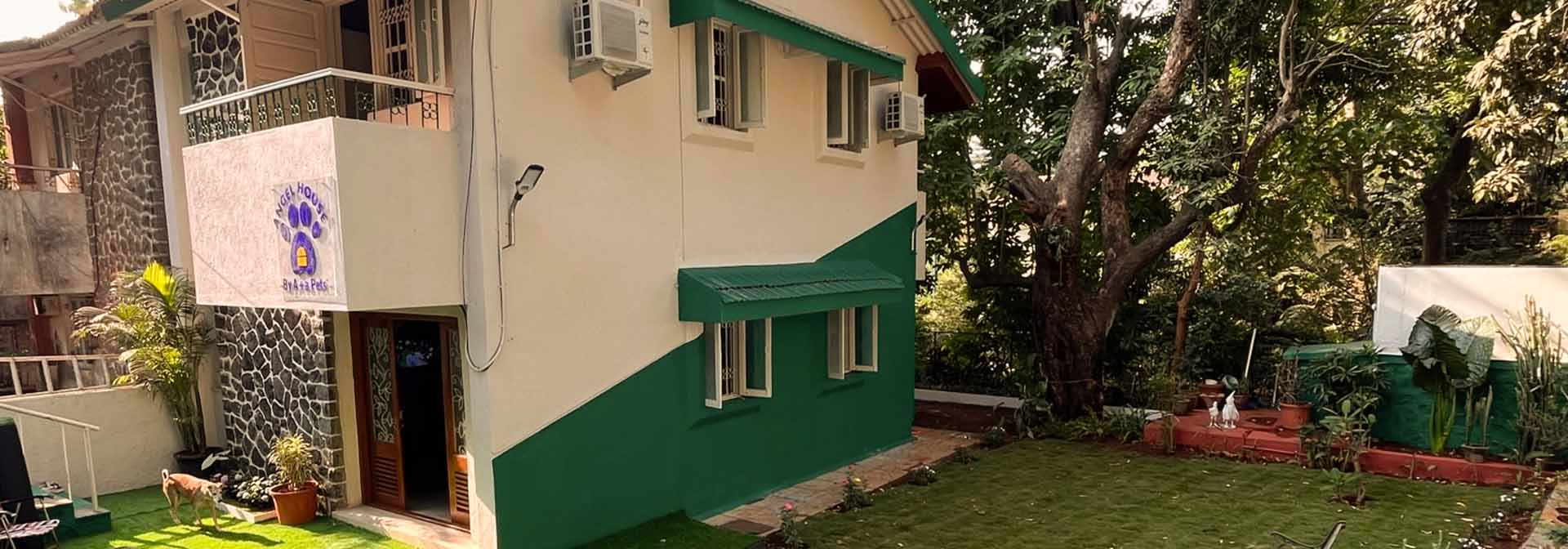 Angel House - Inside the 