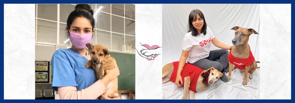 In conversation with Dr. Nirmali Sarma, on World Veterinary Day 2021