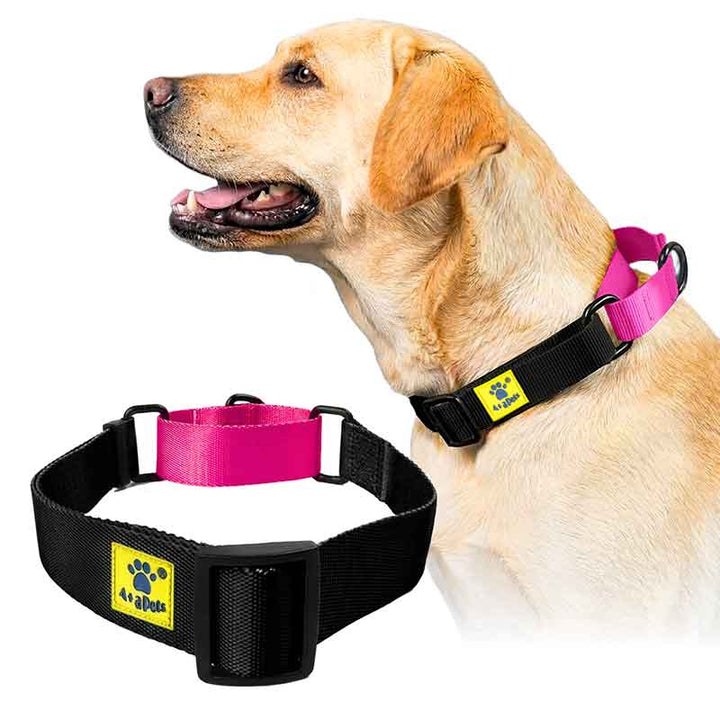 A+a Pets’ Martingale Collar for Dogs - Black Collection - www.aplusapets.com