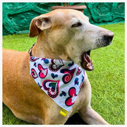 A+a Pets' 2in1 Scarf Collar Bandana for Dogs & Cats - Heart Collection - www.aplusapets.com