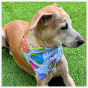 A+a Pets' 2in1 Scarf Collar Bandana for Dogs & Cats - Heart Collection - www.aplusapets.com