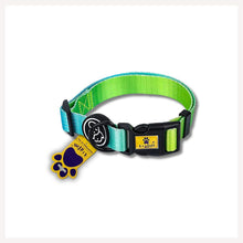 A+a Pets' Gradient Design Collar For Dogs & Cats- Green