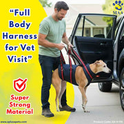 Man with a dog wearing a harness, getting into a car with promotional text about a full body harness for vet visits.
