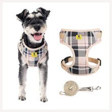 harness leash set