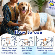 A+a Pets' Disposable Leak Proof Diapers For Male Dogs - Pack of 12 - www.aplusapets.com