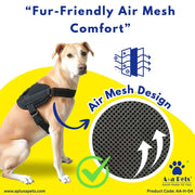 A+a Pets' No Pull Escape Proof Reflective Vest Harness for Dogs - www.aplusapets.com