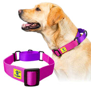 A+a Pets’ Martingale Collar for Dogs - Pink Collection - www.aplusapets.com
