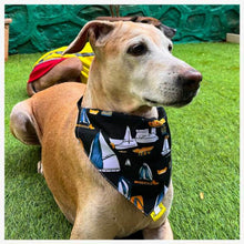 A+a Pets' 2in1 Scarf Collar Bandana for Dogs & Cats - Boat Collection