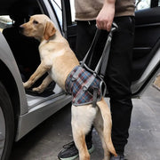 A plus a Pets' Dog Lift Support Harness for Hind / Back Legs - www.aplusapets.com