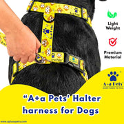 Dog wearing a yellow 'A+a Pets' halter harness with a hand holding it, on a white background.
