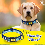 Dog wearing a 'Beachy Vibes' collar with a blurred outdoor background