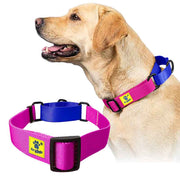 A+a Pets’ Martingale Collar for Dogs - Pink Collection - www.aplusapets.com