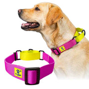 A+a Pets’ Martingale Collar for Dogs - Pink Collection - www.aplusapets.com