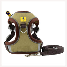 A+a Pets' Suede Harness & Leash Set for Cats & Small Dogs