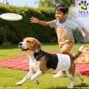 A+a Pets' Disposable Leak Proof Diapers For Male Dogs - Pack of 12 - www.aplusapets.com