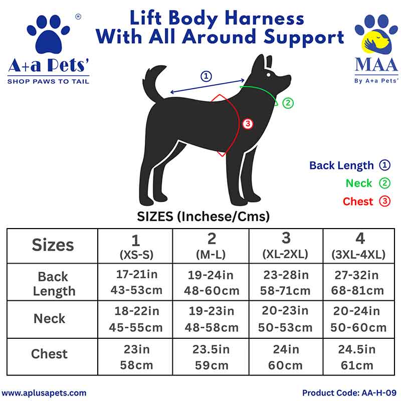 Dog harness size chart with measurements for different sizes